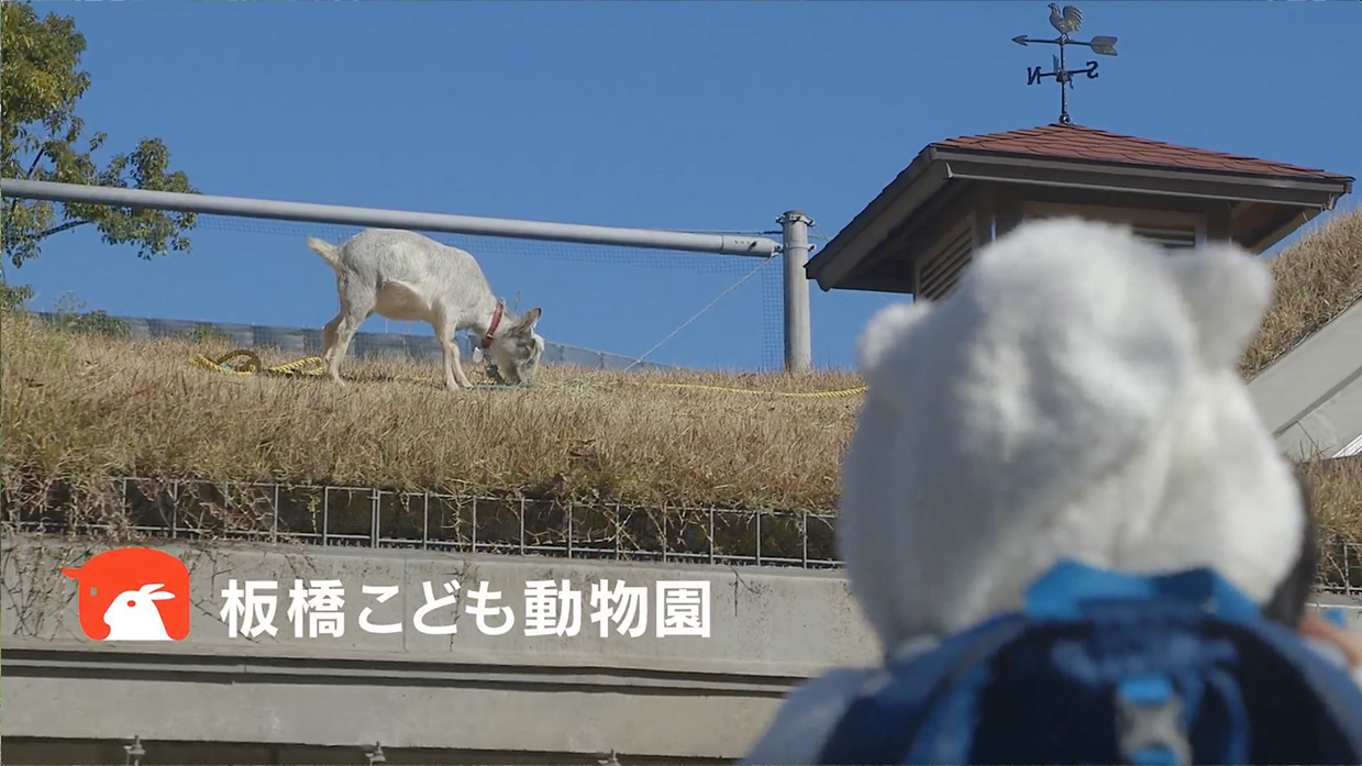 「板橋区こども動物園」